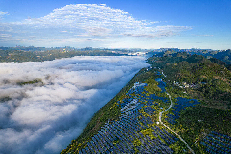 Internationally renowned law firm: Investors have increased their interest in photovoltaics and energy storage 